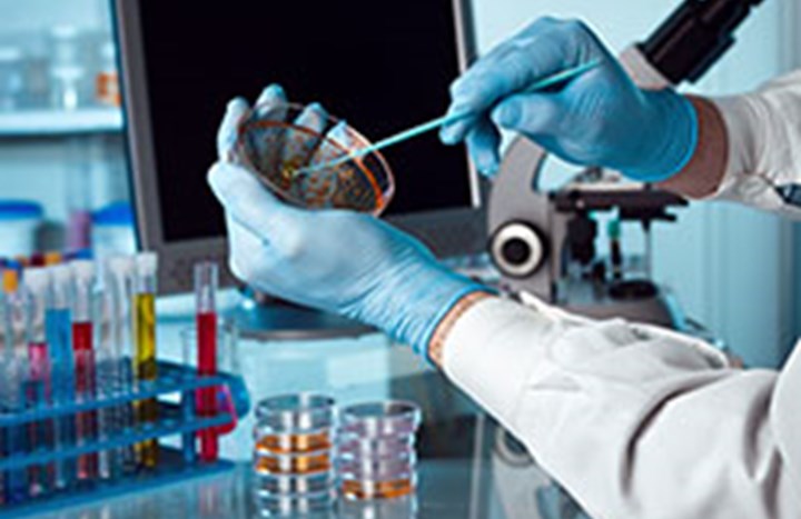 Lab image